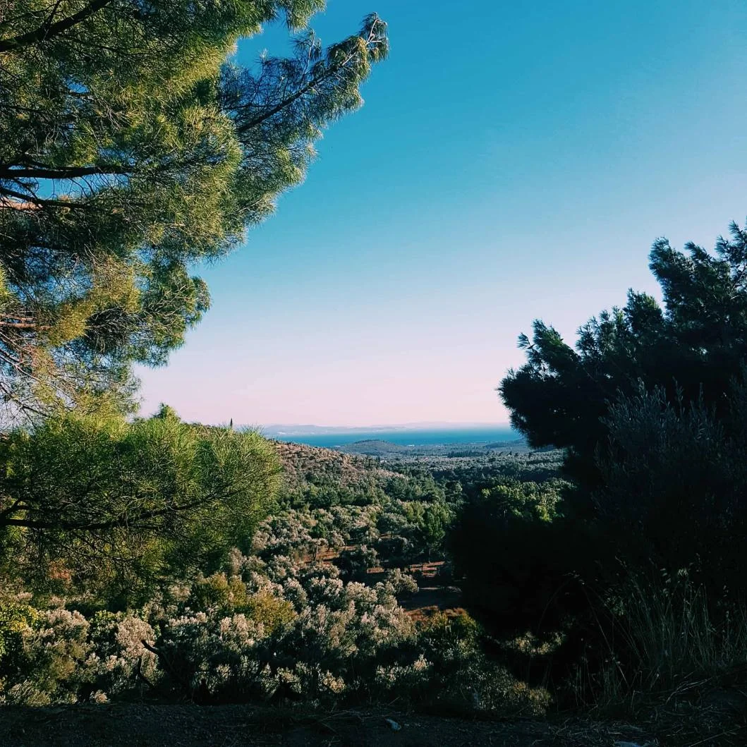 Kazdağları ve Çevre Güzellikleri - orion-adatepe-kuzey-ege-kazdaglari-FQ7iYZdjEu